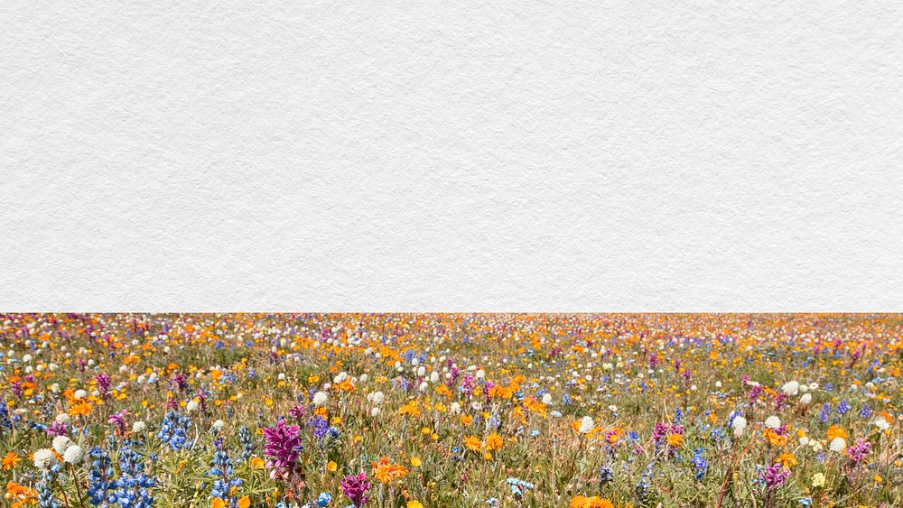 Spring flower field computer wallpaper, aesthetic border background