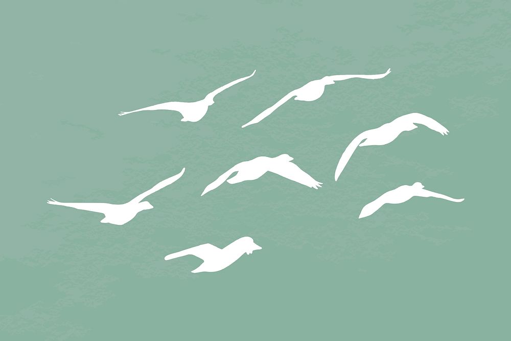 Flying birds silhouette sticker, animal in white vector