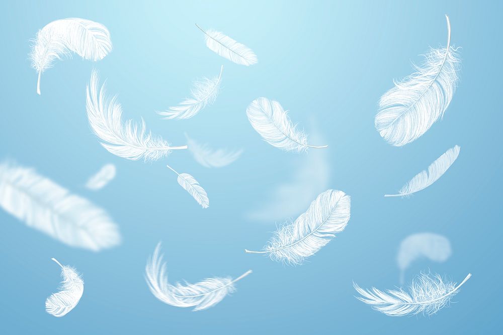 Falling feathers, blue background design | Premium Photo - rawpixel