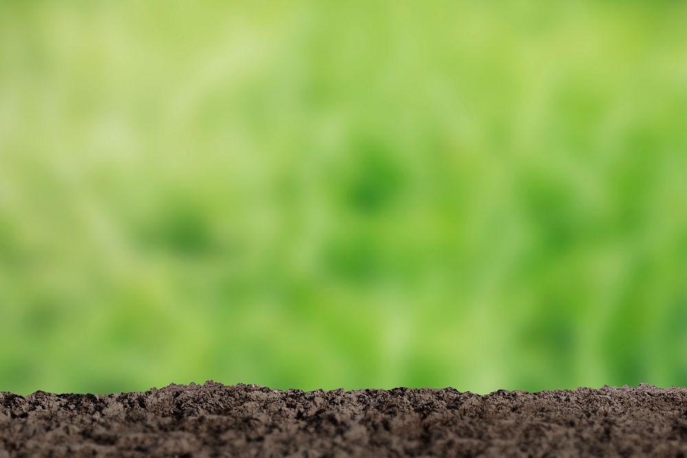 Soil border, green environment background psd