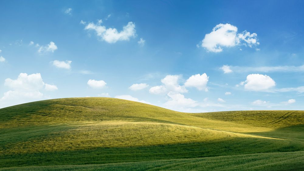 Nature computer wallpaper, green summer field