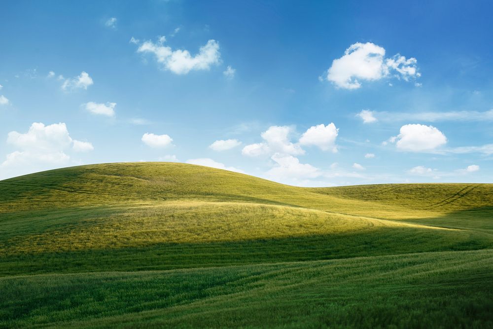 Grass field background, green hills & blue sky psd