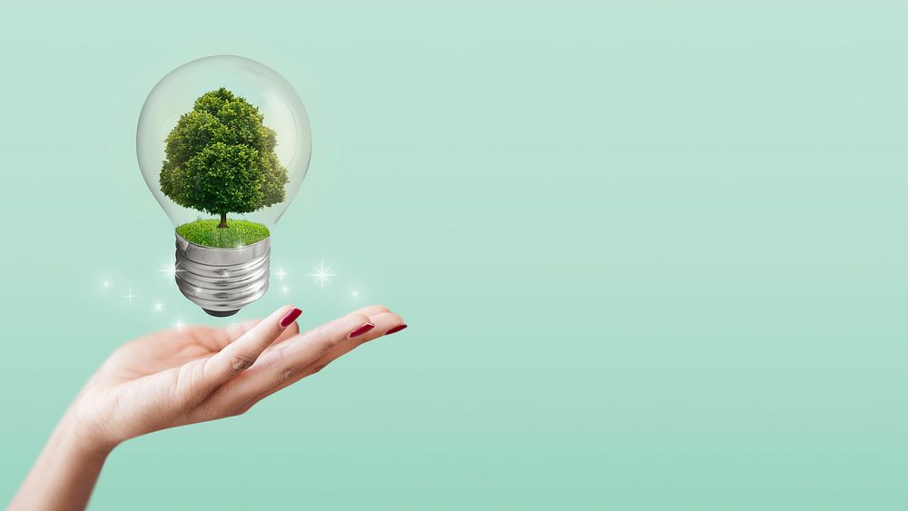 Green environment desktop wallpaper, sustainability ideas