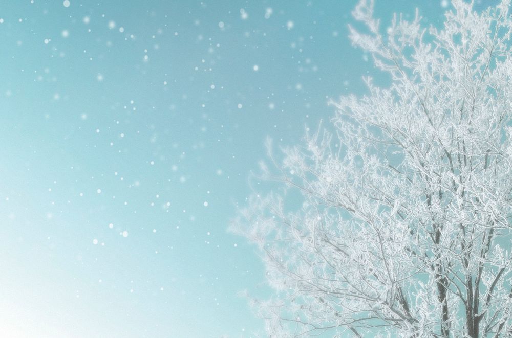 Frozen tree on a snowy day