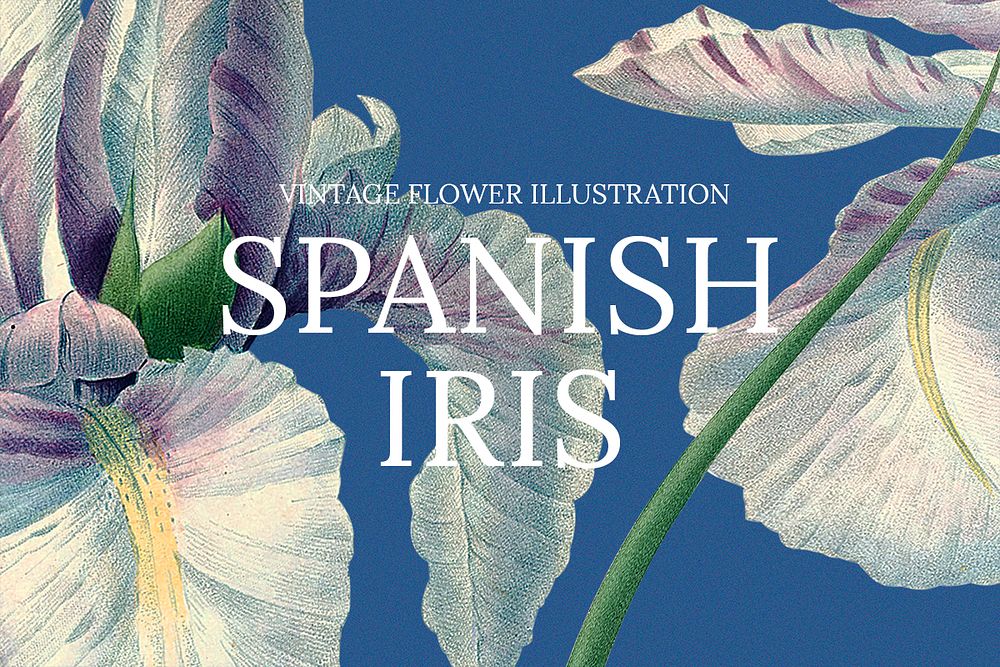 Web banner floral template psd with spanish iris background, remixed from public domain artworks