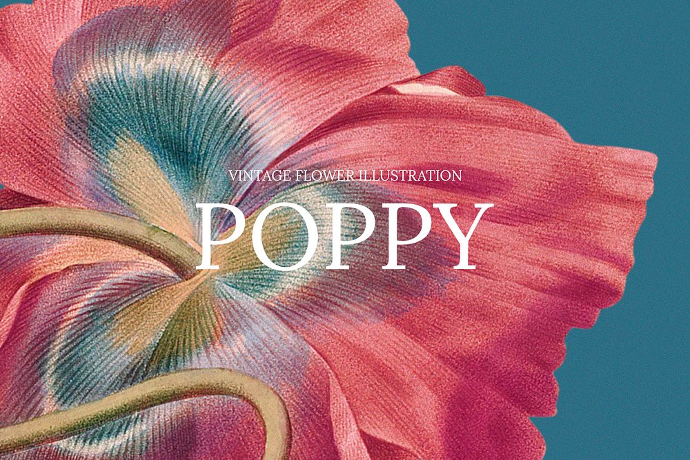 Hand drawn flower template psd with poppy background