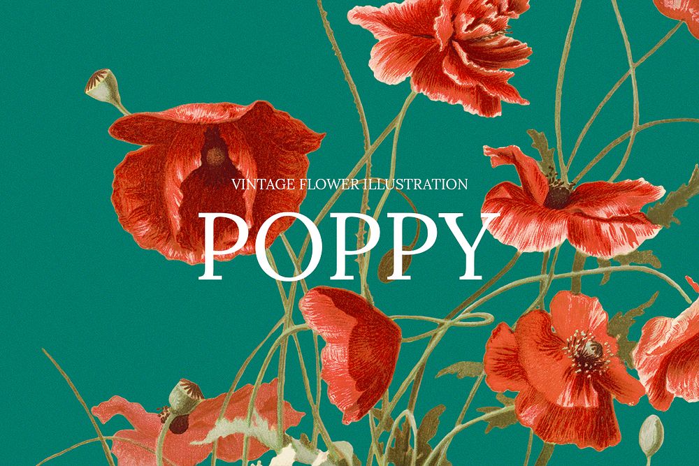 Vintage floral banner template psd with poppy background, remixed from public domain artworks