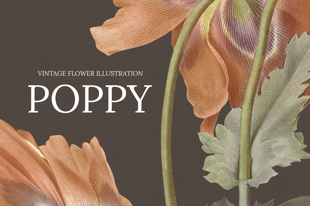Floral web banner template psd with poppy background