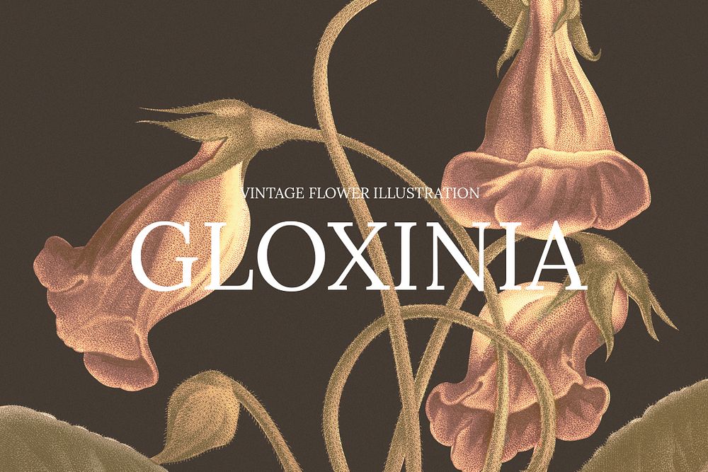 Floral web banner template psd with gloxinia flower background, remixed from public domain artworks