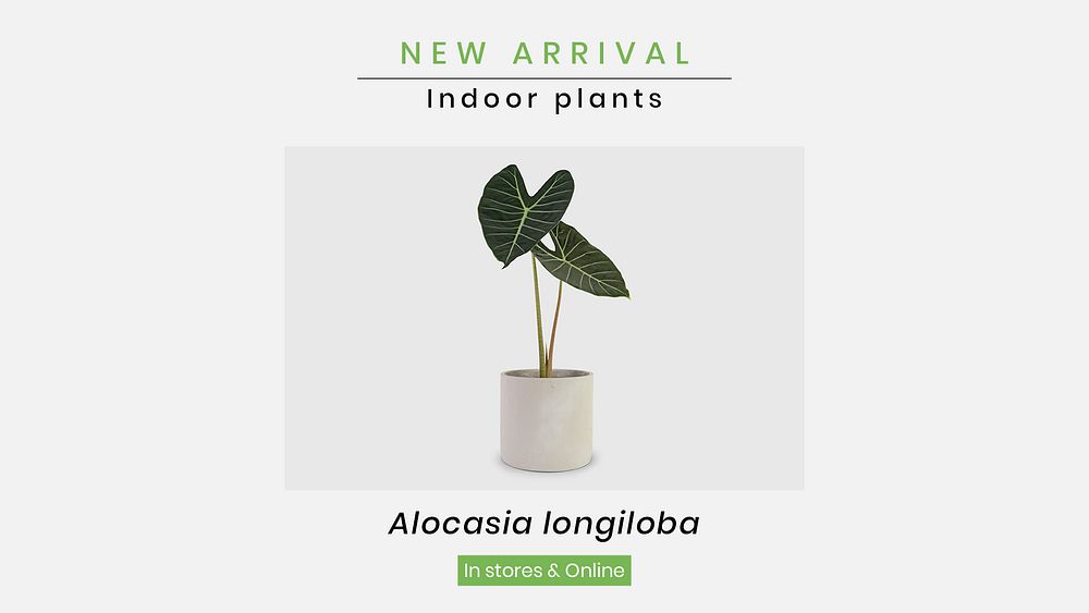 Online houseplant shop template psd for new arrival