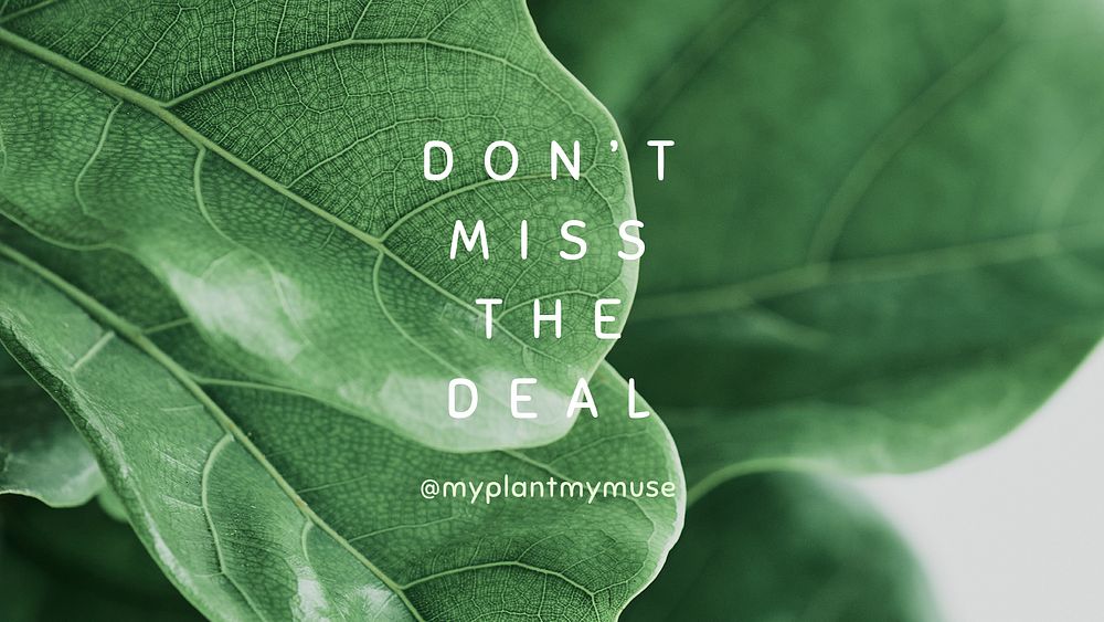 Online houseplant shop template psd with don't miss the deal