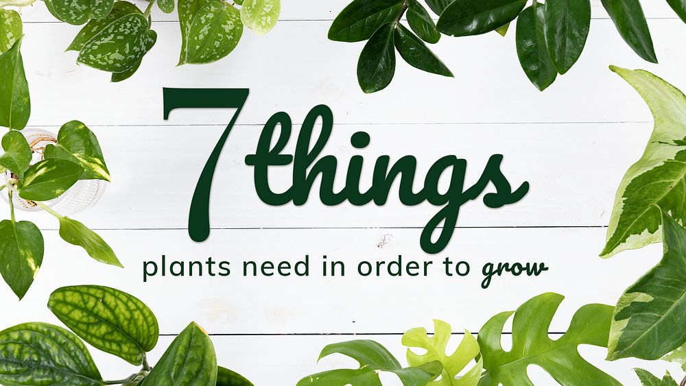 Growing plant guide template psd