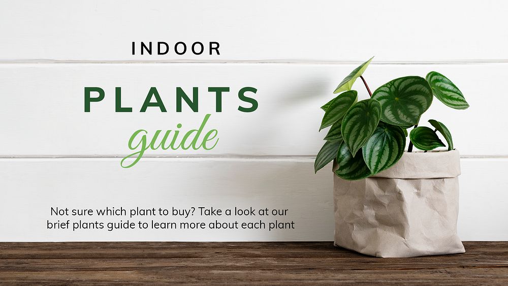 Indoor plants guide template psd