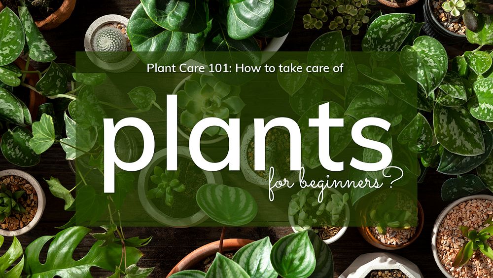 Plant parent&rsquo;s guide template psd