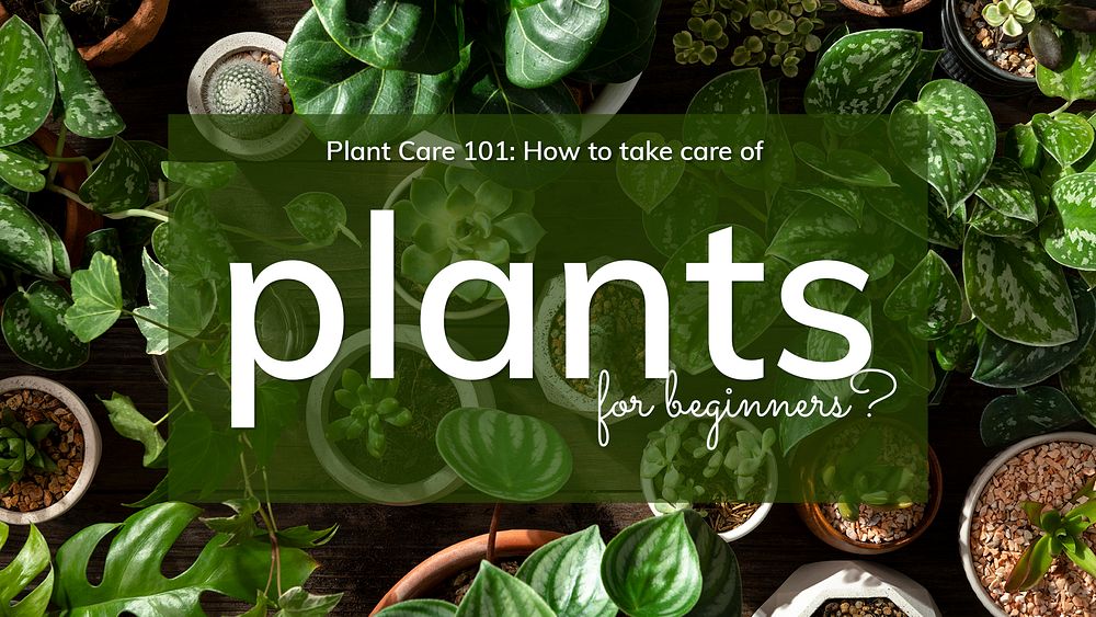 Plant parent’s guide template psd