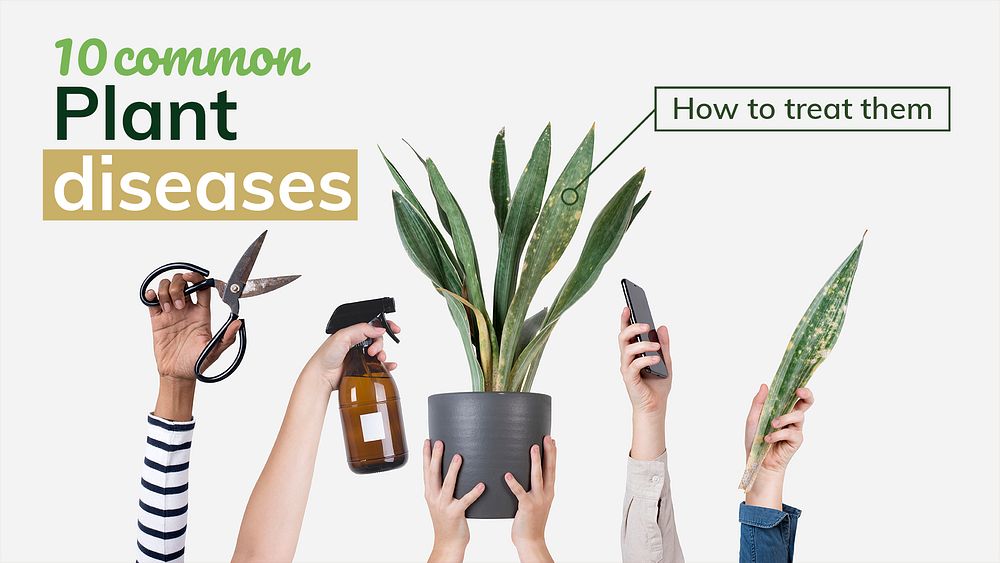 Common plant diseases template psd
