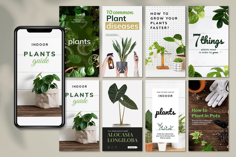 Indoor plants guide template psd set for social media post