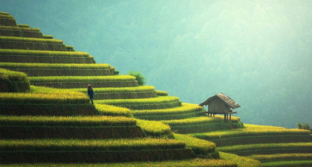 Farmer walking on terraces in Thailand. Original public domain image from Wikimedia Commons