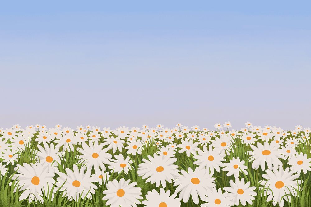 Aesthetic landscape background, colorful Daisy flower field design