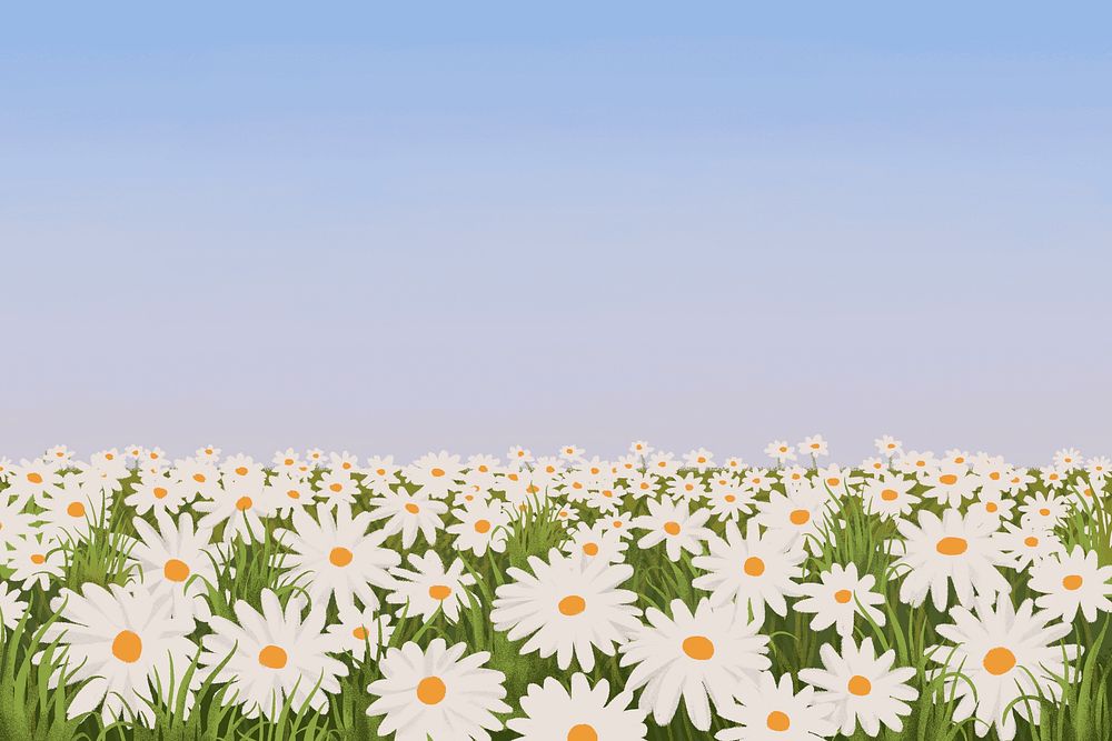 Aesthetic landscape background, colorful Daisy flower field design psd
