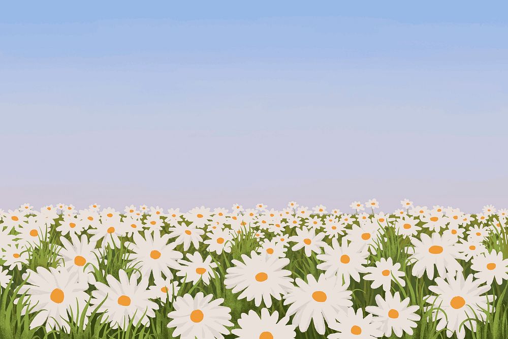 Daisy flower field background, minimal spring design vector