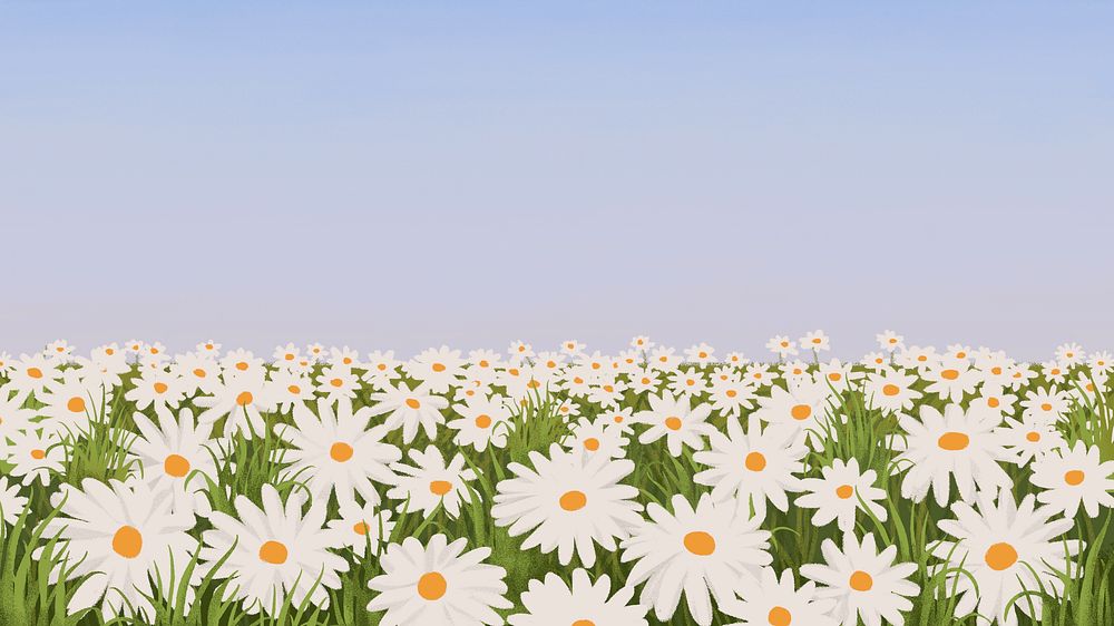 Daisy flower field background, minimal spring design