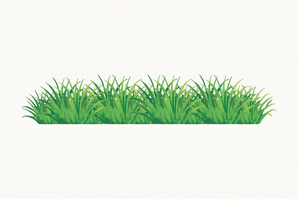 Grass illustration, aesthetic nature design