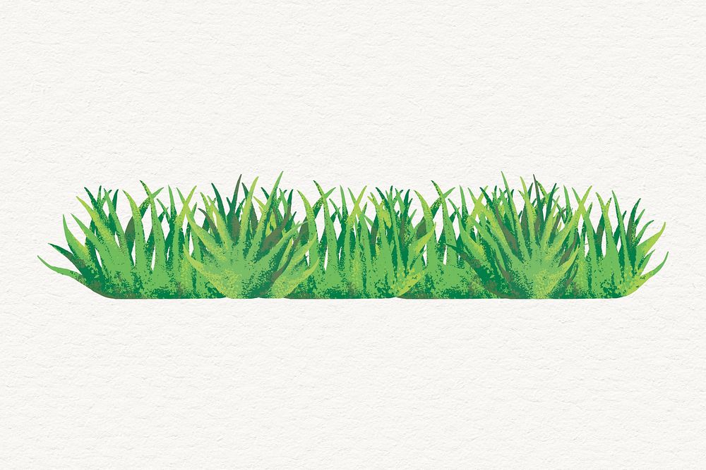 Grass clipart, aesthetic nature design psd