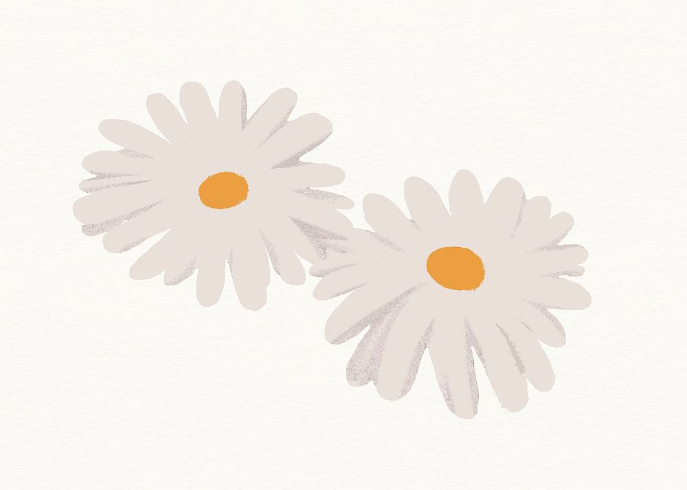 Daisy flower clipart, aesthetic flower design vector