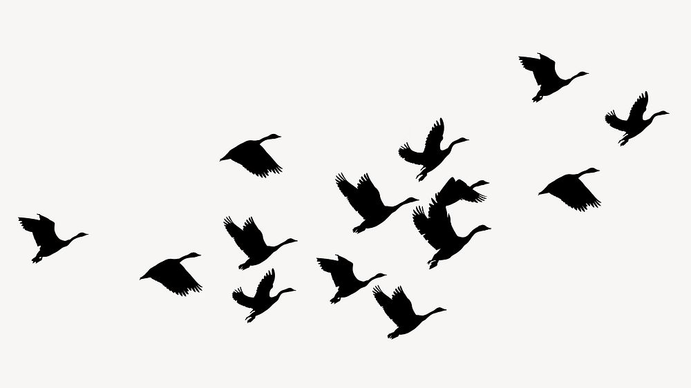 Flying birds silhouette clipart, animal illustration psd
