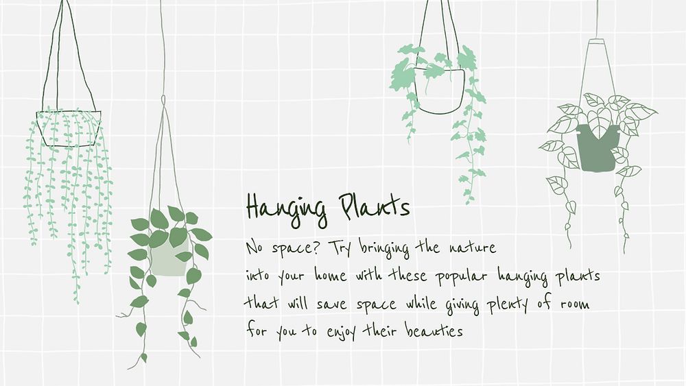 Hanging plant introduction to new plant parent psd template