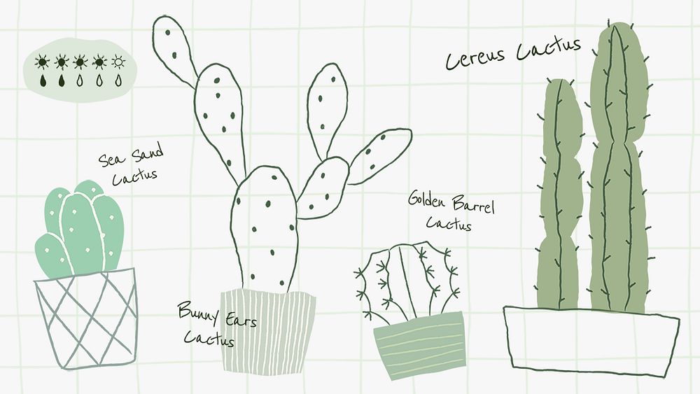 Watering chart vector for cactus houseplants