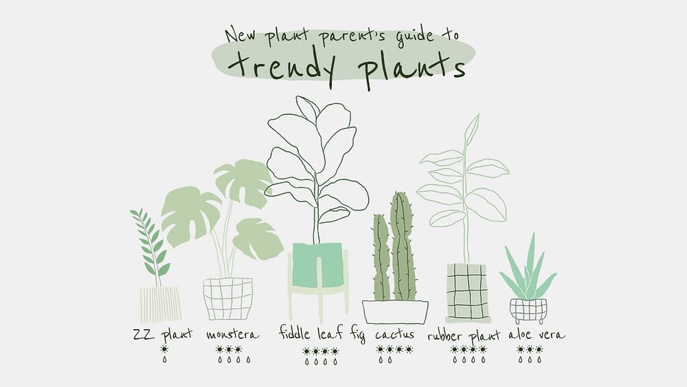 Trendy houseplant guide template psd for blog banner