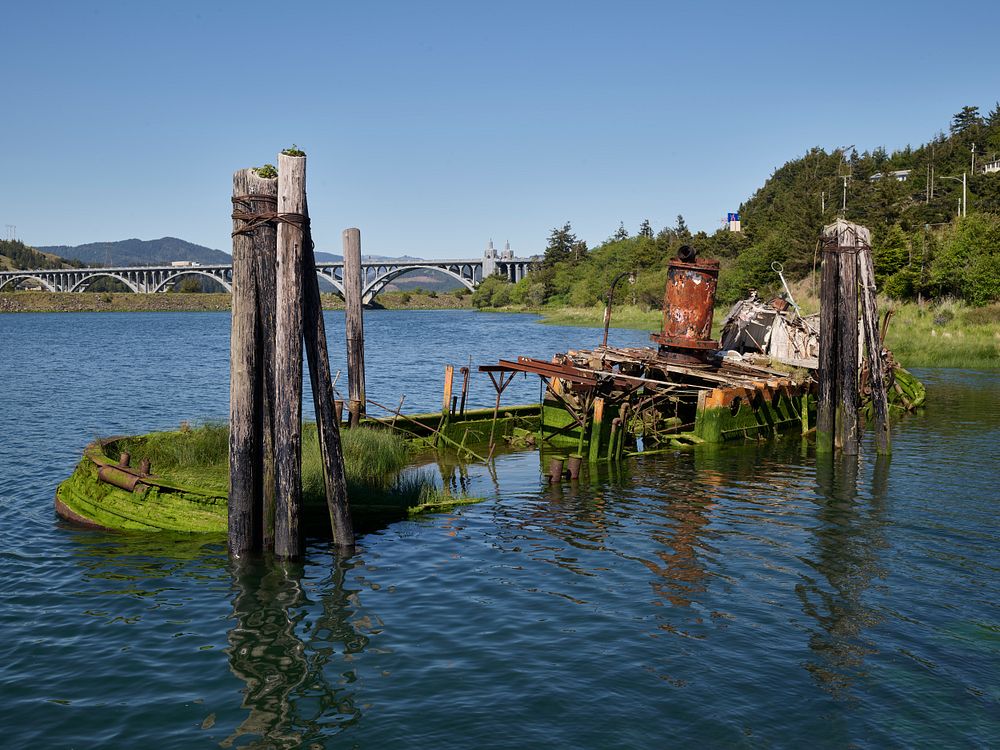Remains of the Mary D. Hume coastal freighter decay in the harbor of Gold Beach, Oregon.