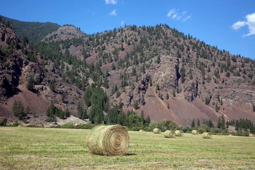 Farm scene in rural Montana