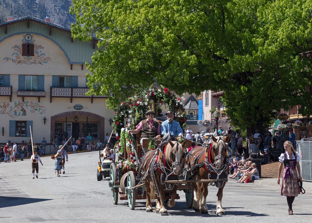 Parade at the Bavarian Celebration of Spring festival in Leavenworth, Washington.  This once-thriving hub of the Great…