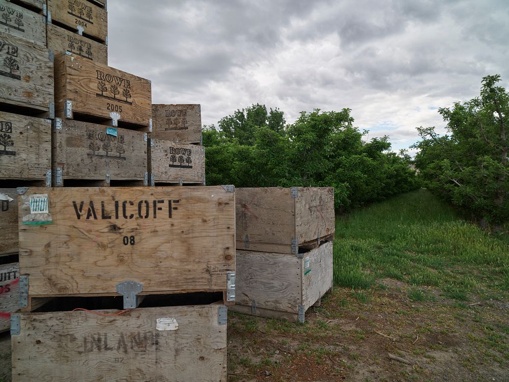 Fruit boxes beside an orchard in the little town of Monitor, Washington.  [NOTE TO RESEARCHERS: The camera gps incorrectly…