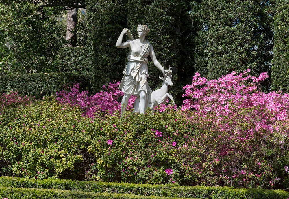 The statue of Diana, Roman goddess of the hunt and wild animals in a pleasant garden at the Bayou Bend Collection and…