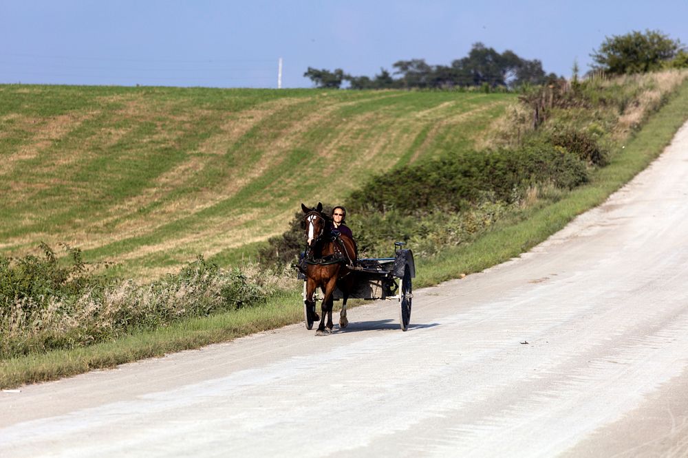 An Amish or Mennonite woman and her horse and horsecart traverse the country roads of Washington County, Iowa, near the town…