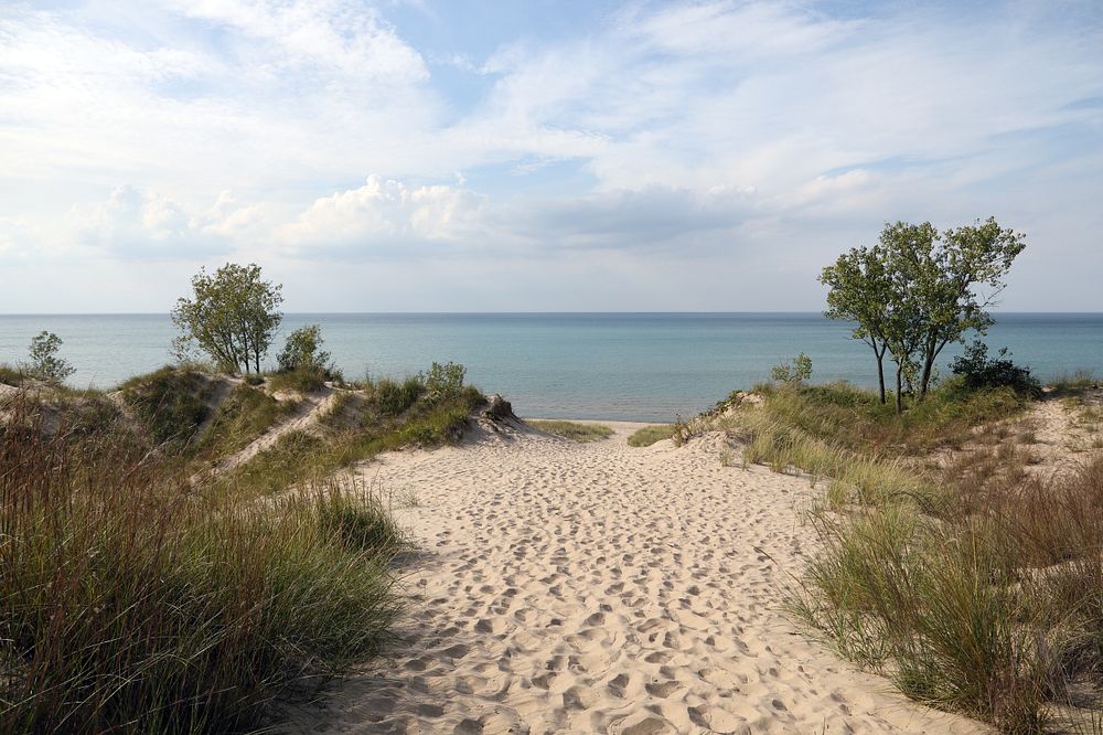 Scene at Indiana Dunes State Park, encompassing 2,182 acres of beaches, sand dunes, and marshes along Lake Michigan in…