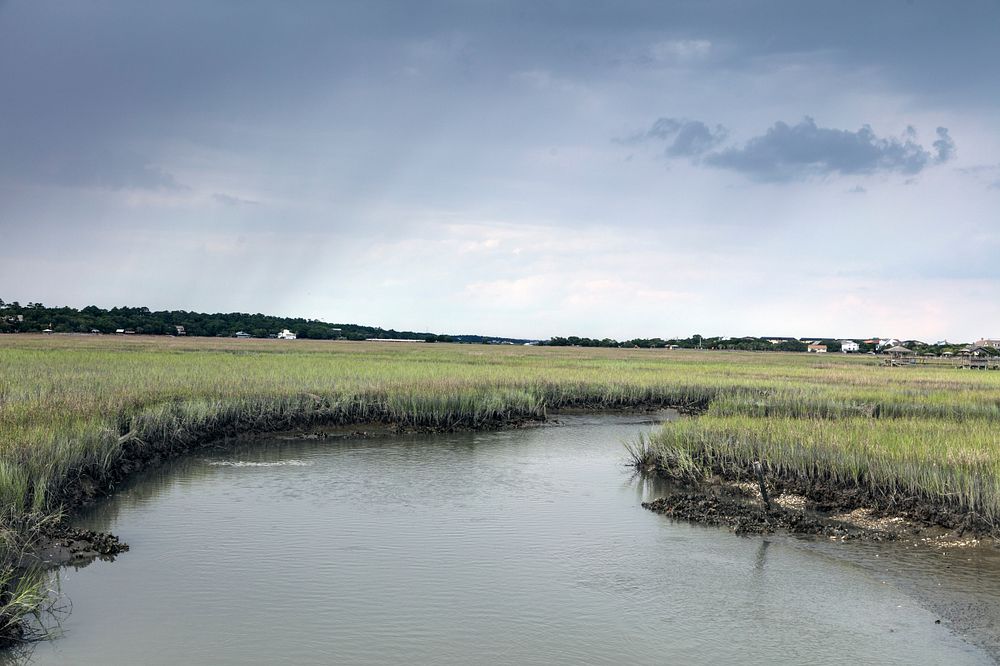 Scene on marshy Pawley's Island, a barrier island in Georgetown County, South Carolina.