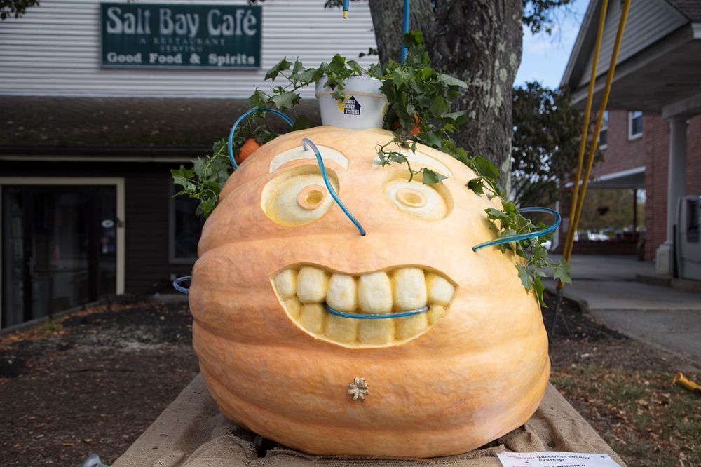 Bill Morgner's creation -- a carving of a 707-pound pumpkin -- at the annual Pumpkinfest, a colorful fall festival in…