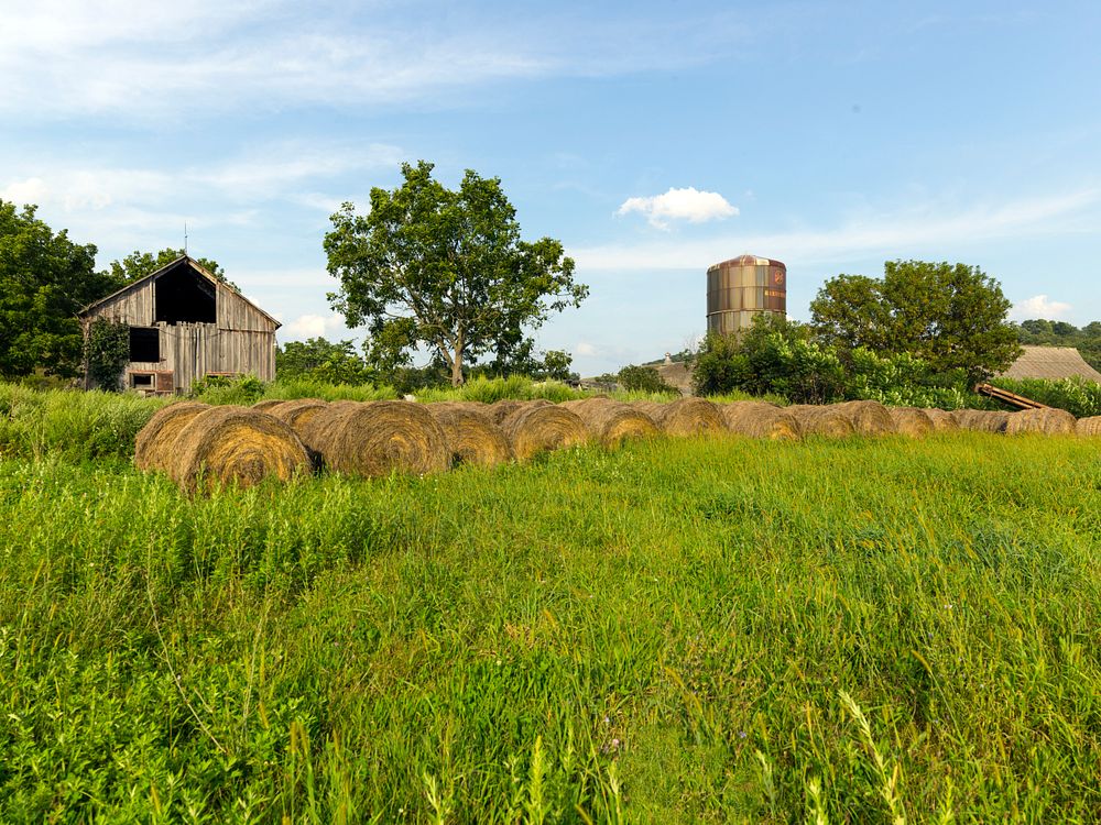 Working farm in Branchville, New Jersey