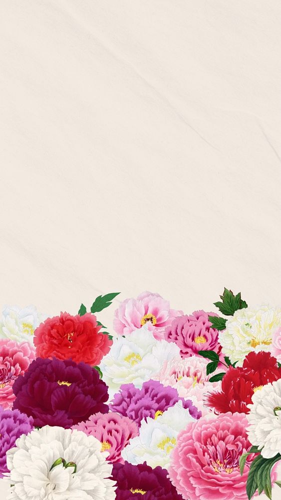 Spring carnation flowers mobile wallpaper, botanical aesthetic border background, editable design