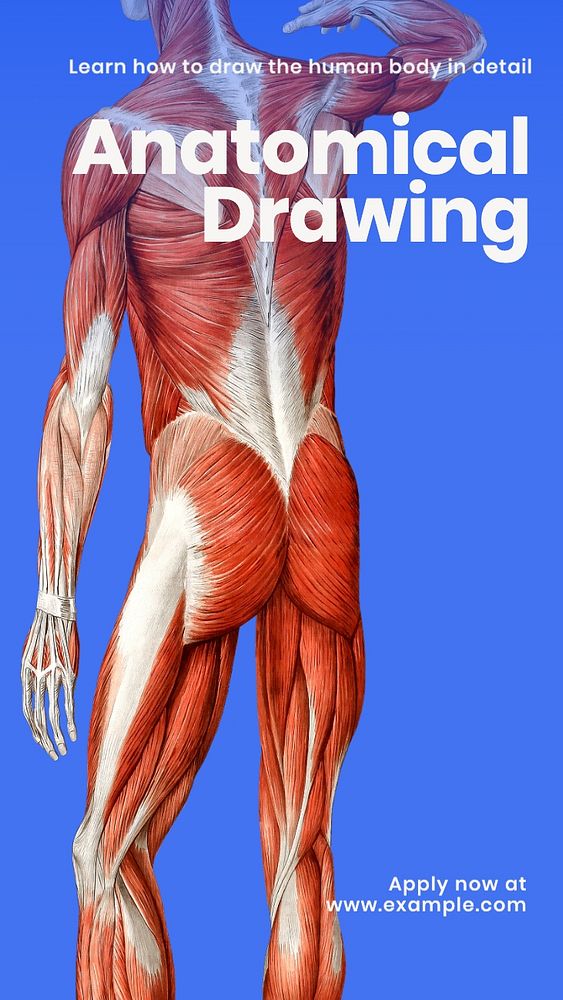 Anatomical drawing Instagram story template, editable text