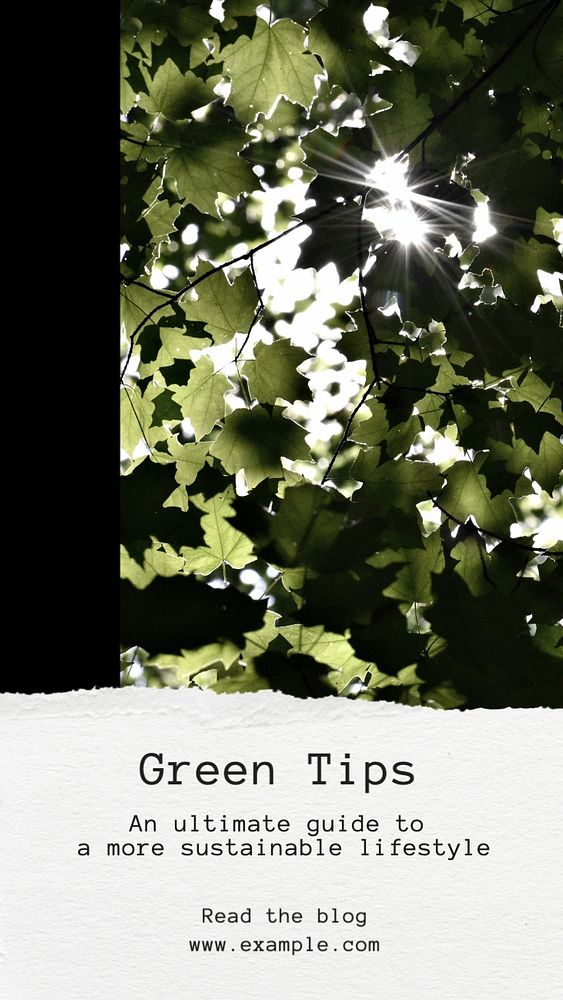 Green tips Instagram post template, editable text