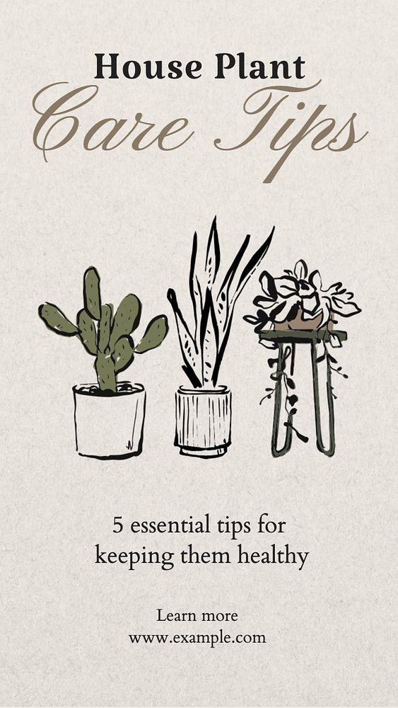 House plant care Instagram story template, editable text