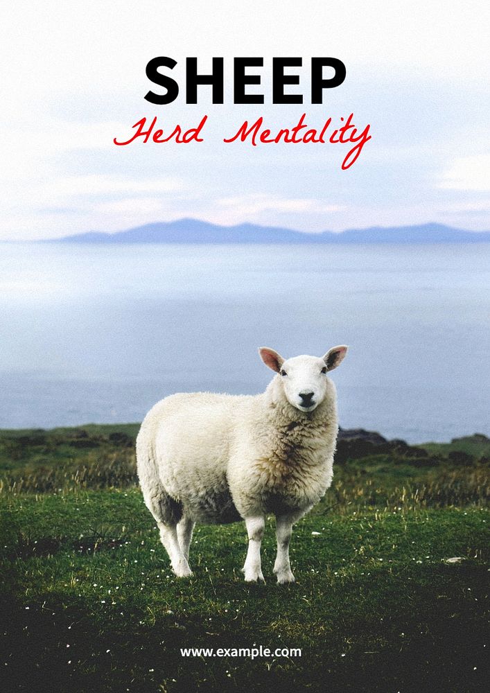 Sheep poster template, editable text and design