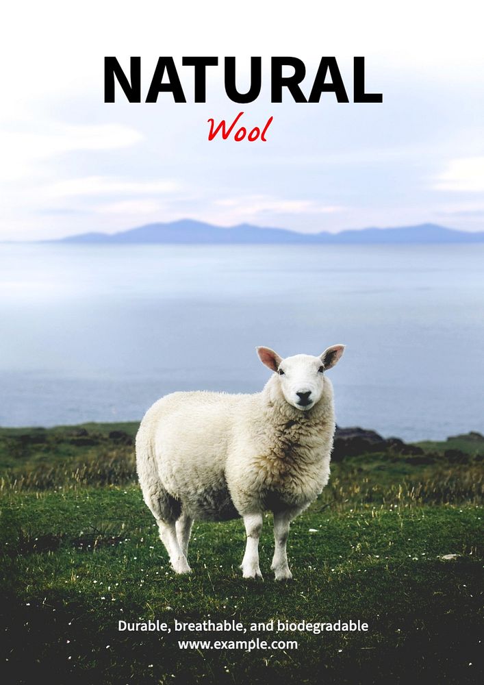 Natural wool poster template, editable text and design