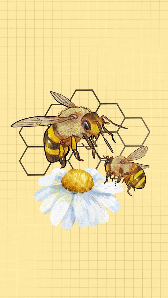 Bees and flower iPhone wallpaper, creative remix, editable design